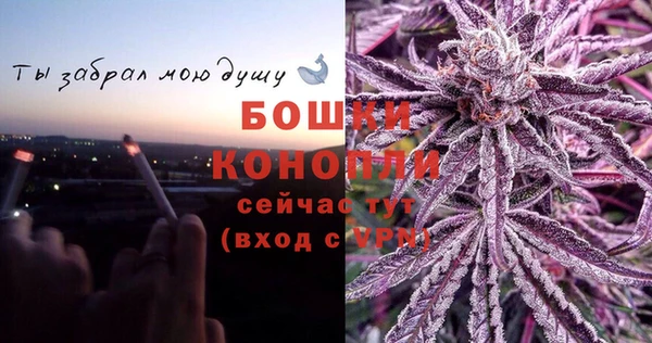 прущие грибы Богородск